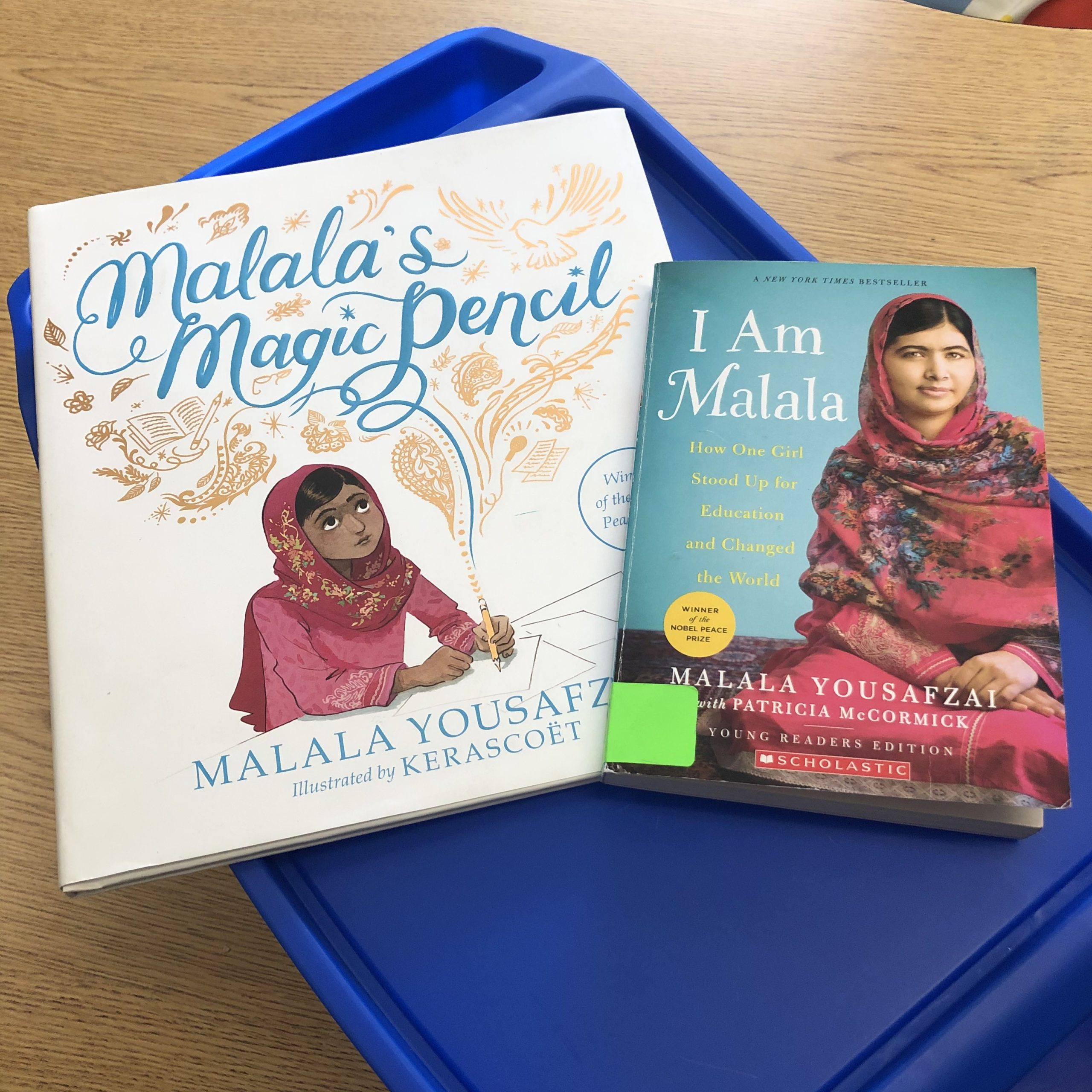 Women's History Month Picture books